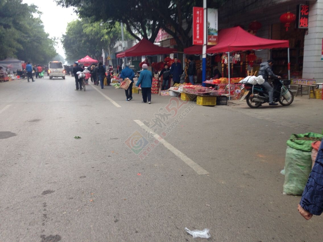 24米街跟广场好有过年的气氛啊910 / 作者:桂花糕 / 帖子ID:112092