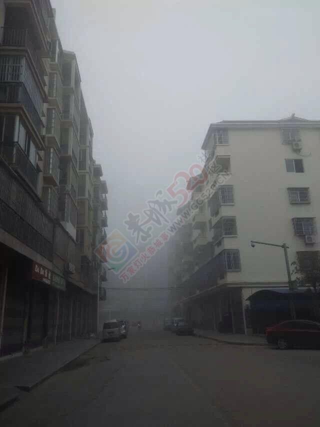 早上起来雾茫茫65 / 作者:小红花 / 帖子ID:112095