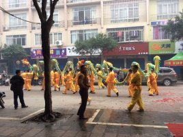 虽然我没有在现场，也能感觉到过年的那种热闹的氛围！…559 / 作者:建筑19551213 / 帖子ID:112198