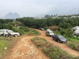 虽然我没有在现场，也能感觉到过年的那种热闹的氛围！…387 / 作者:建筑19551213 / 帖子ID:112198