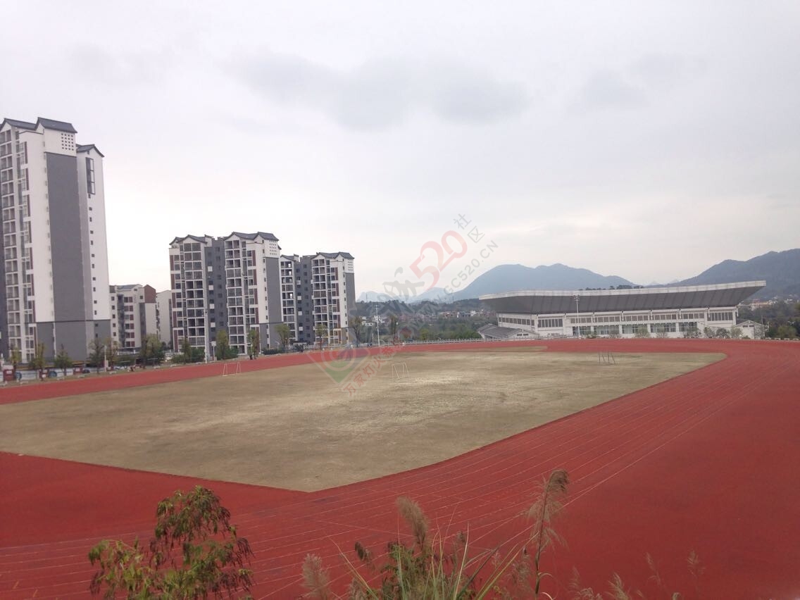 好久没来体育场看看了，人都没两个8 / 作者:恭城520小奈姐姐 / 帖子ID:112228