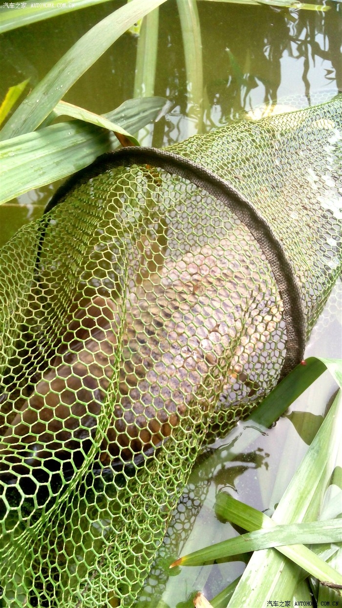 好大一条啊哈哈哈992 / 作者:浮云先生 / 帖子ID:112281