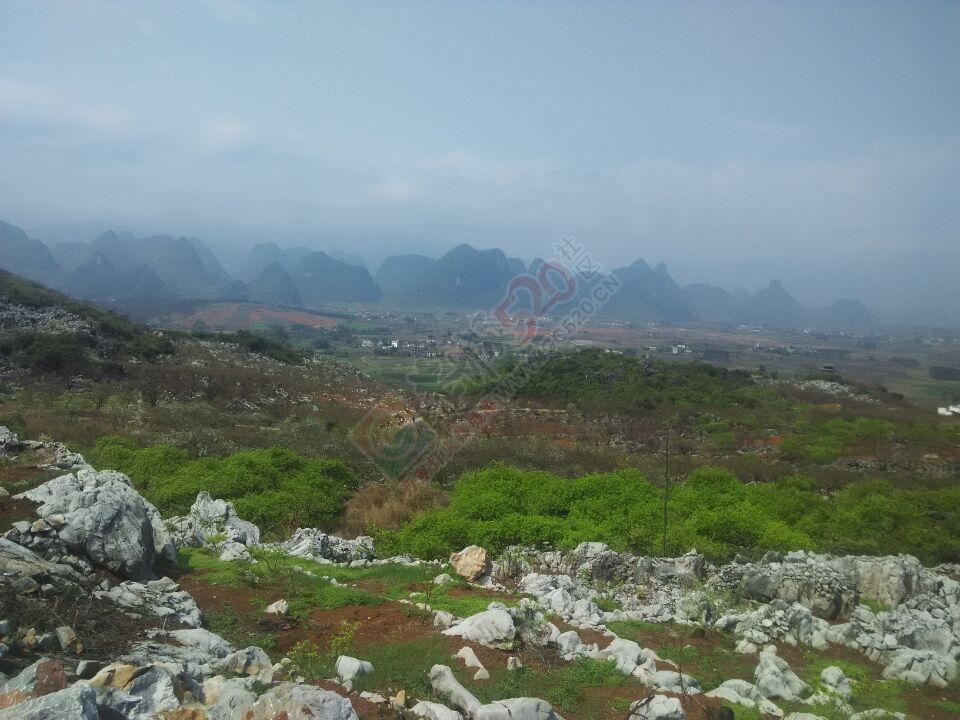 2015恭城  桃花节  你是怎么啦？？432 / 作者:人在驴途 / 帖子ID:112308