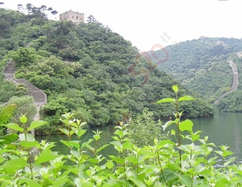 朋友相约游黄花城水长城和燕莎主题宾馆的照片分享167 / 作者:qwfy5566 / 帖子ID:112338