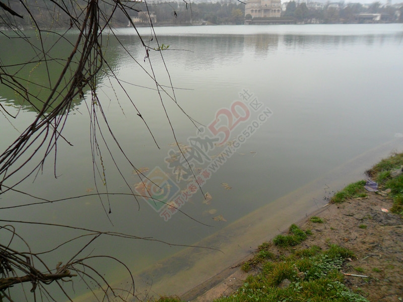 春天的脚步近了，放飞心情997 / 作者:建筑19551213 / 帖子ID:112356