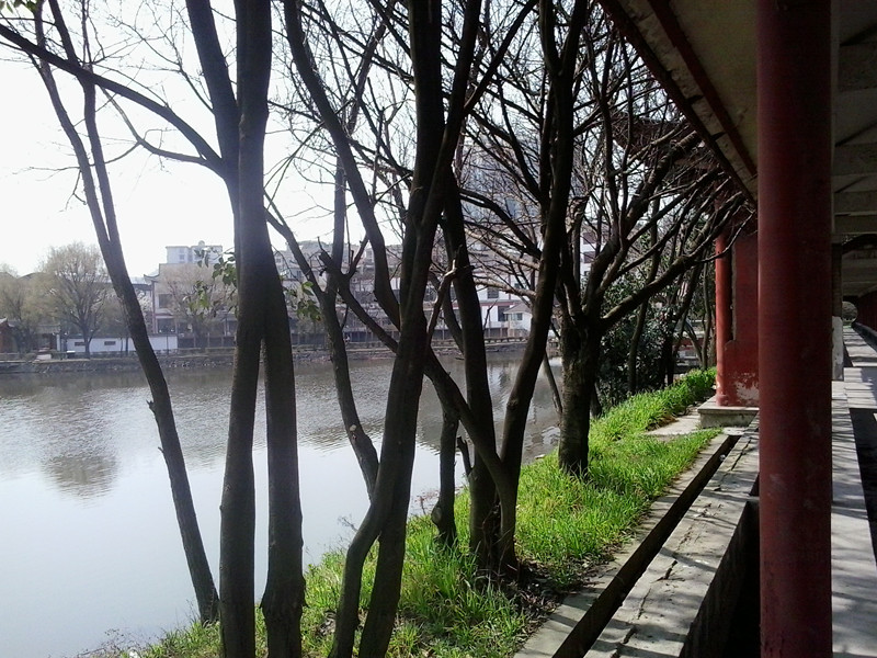 如果你------喜欢它，那么享受它；不喜欢，那么避开它561 / 作者:建筑19551213 / 帖子ID:112459