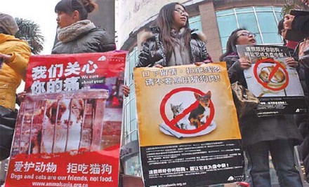 腾格尔：促《反虐待动物法》立法14 / 作者:九命猫 / 帖子ID:112553