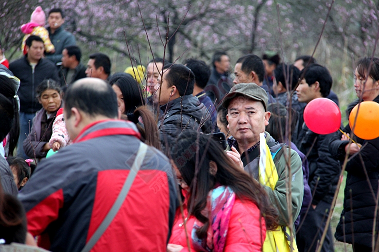 恭城520社区赏桃花嘉会太平一日游图片集合帖228 / 作者:柚子壳※ / 帖子ID:112588