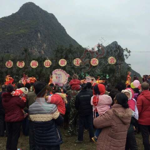 恭城520社区赏桃花嘉会太平一日游图片集合帖639 / 作者:箩筐索 / 帖子ID:112588