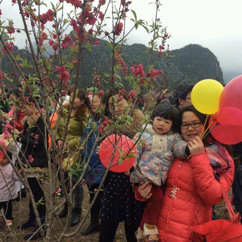 恭城520社区赏桃花嘉会太平一日游图片集合帖403 / 作者:箩筐索 / 帖子ID:112588