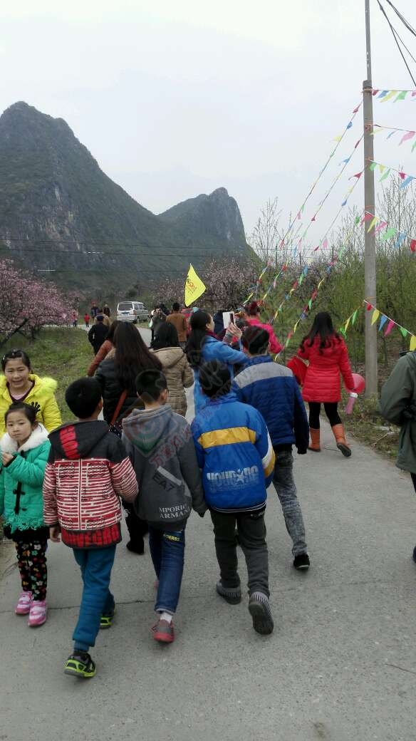 恭城520社区赏桃花嘉会太平一日游图片集合帖178 / 作者:箩筐索 / 帖子ID:112588