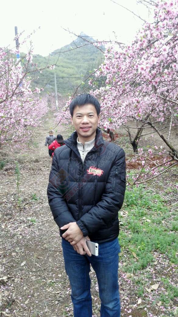 恭城520社区赏桃花嘉会太平一日游图片集合帖1 / 作者:箩筐索 / 帖子ID:112588