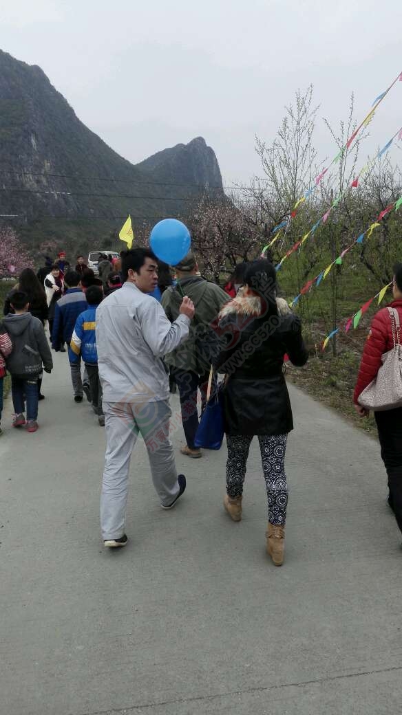 恭城520社区赏桃花嘉会太平一日游图片集合帖428 / 作者:箩筐索 / 帖子ID:112588