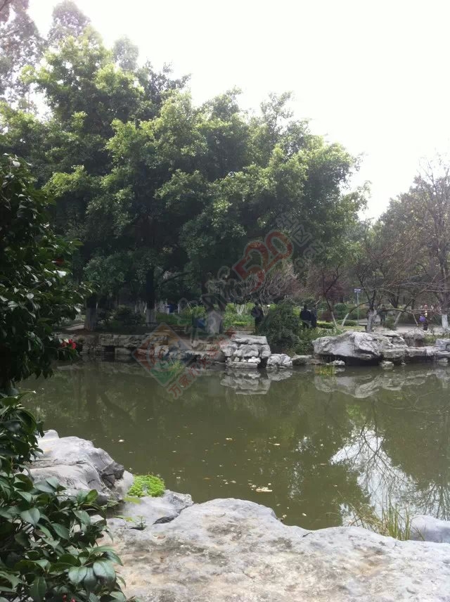 老姐在柳州拍的相片793 / 作者:桂花糕 / 帖子ID:112682