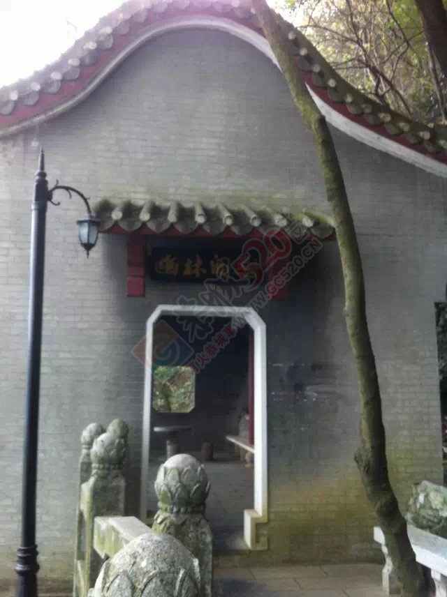 老姐在柳州拍的相片308 / 作者:桂花糕 / 帖子ID:112682