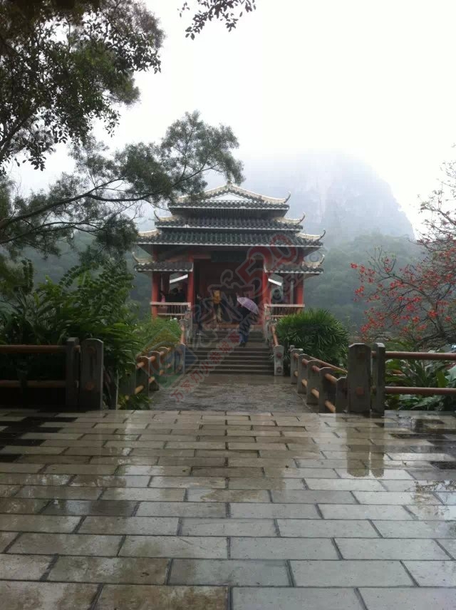 老姐在柳州拍的相片944 / 作者:桂花糕 / 帖子ID:112682