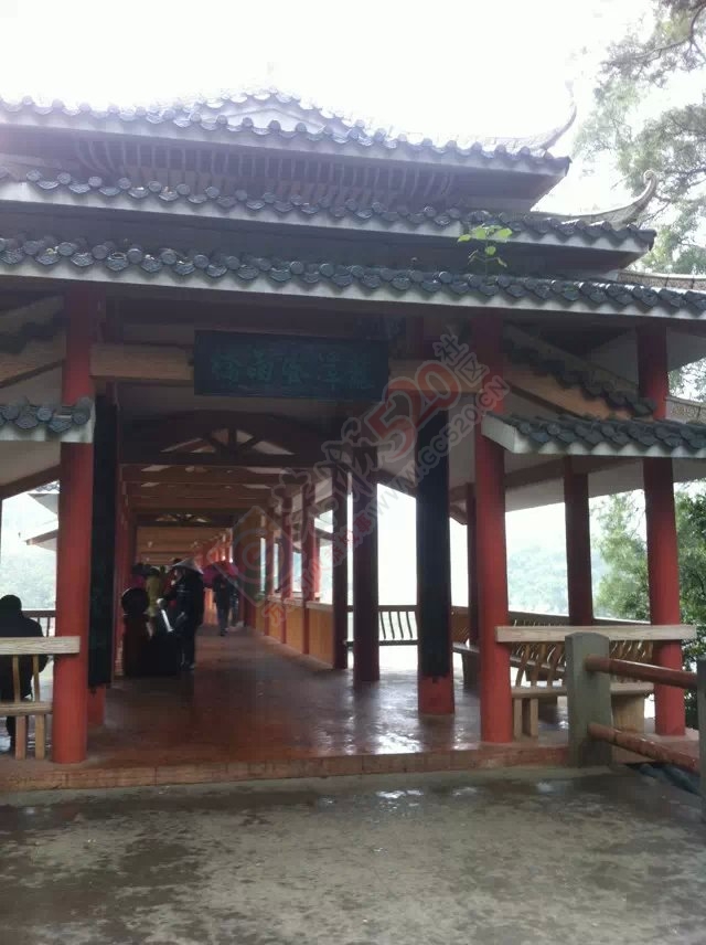 老姐在柳州拍的相片854 / 作者:桂花糕 / 帖子ID:112682
