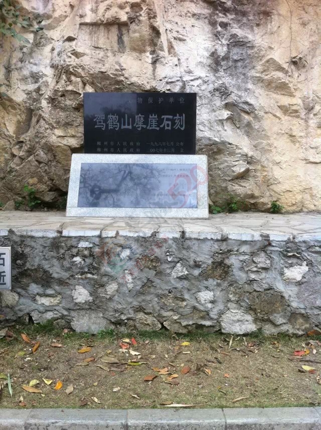 老姐在柳州拍的相片791 / 作者:桂花糕 / 帖子ID:112682