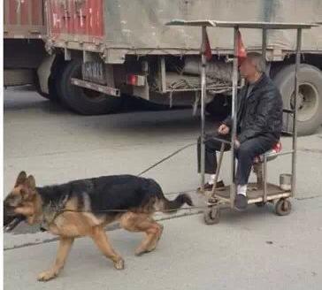 见过那么牛叉的恭城狗古冲没有158 / 作者:红通通 / 帖子ID:112691