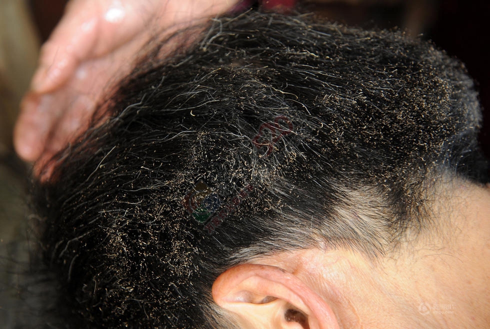 即将流逝的技艺火钳烫发902 / 作者:美丽的梦花 / 帖子ID:113066