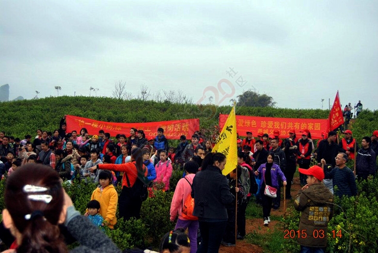 植树传爱心133 / 作者:恭城蚂蜂 / 帖子ID:113228