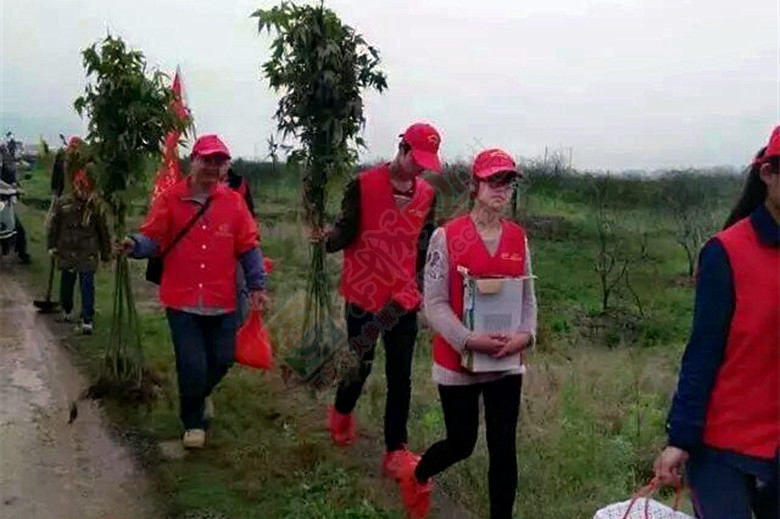 植树传爱心834 / 作者:恭城蚂蜂 / 帖子ID:113228