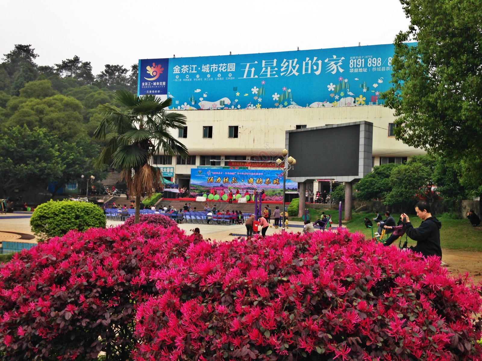 今天一大早就赶上广场舞排练499 / 作者:棉花糖 / 帖子ID:113347