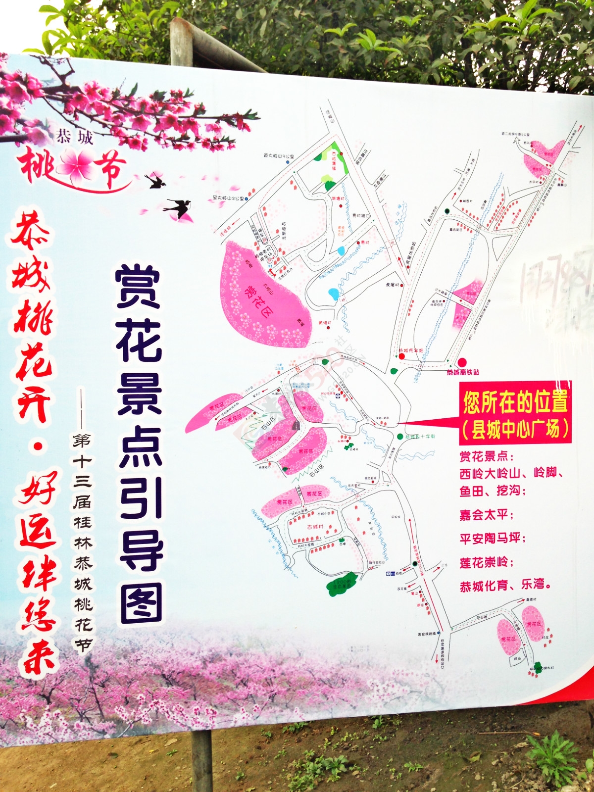 今天一大早就赶上广场舞排练953 / 作者:棉花糖 / 帖子ID:113347