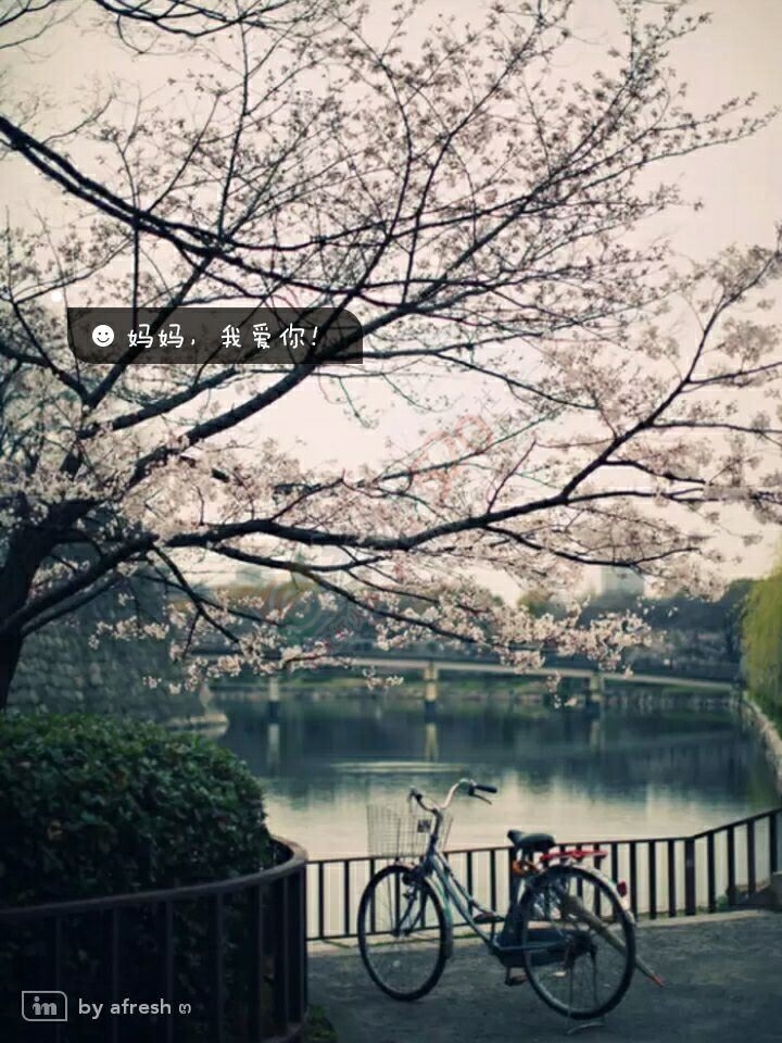 （致母亲）你养我到大，我陪你到老。154 / 作者:碧澄匀 / 帖子ID:113407