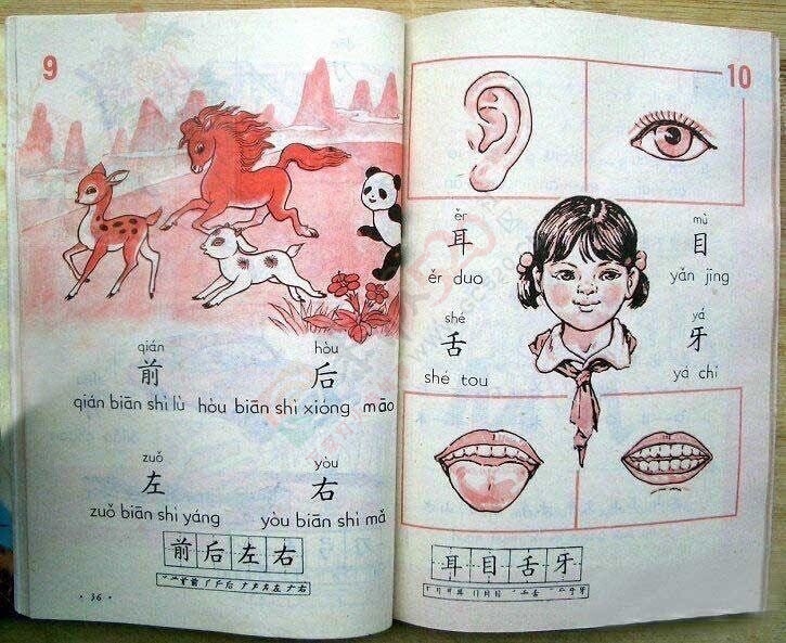 看《平凡的世界》想起了我们小时候读书613 / 作者:猫小萌 / 帖子ID:113408