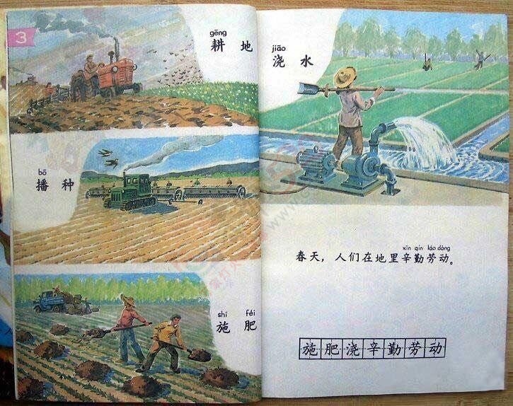 看《平凡的世界》想起了我们小时候读书409 / 作者:猫小萌 / 帖子ID:113408