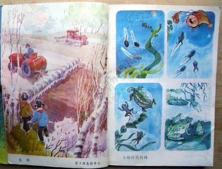 看《平凡的世界》想起了我们小时候读书613 / 作者:猫小萌 / 帖子ID:113408