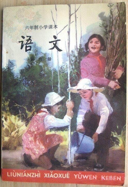 看《平凡的世界》想起了我们小时候读书411 / 作者:猫小萌 / 帖子ID:113408