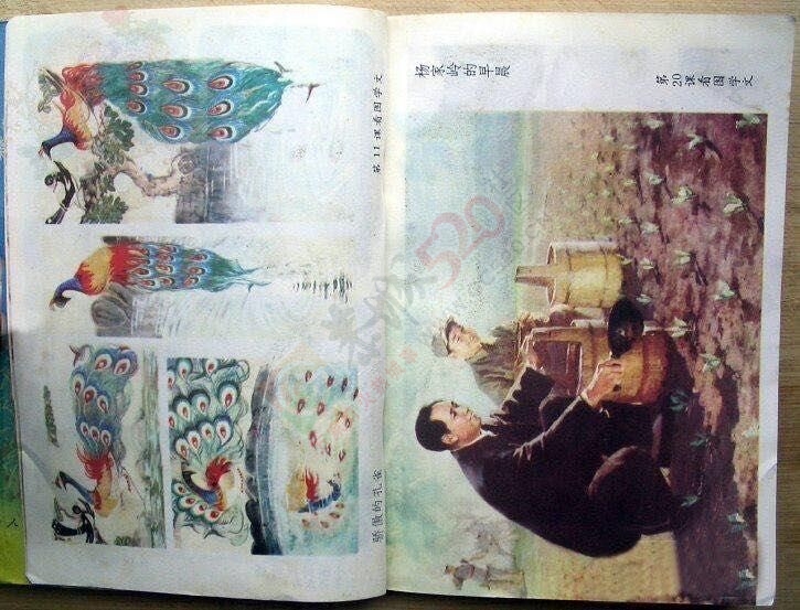 看《平凡的世界》想起了我们小时候读书824 / 作者:猫小萌 / 帖子ID:113408