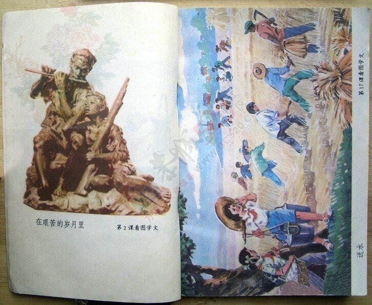 看《平凡的世界》想起了我们小时候读书320 / 作者:猫小萌 / 帖子ID:113408