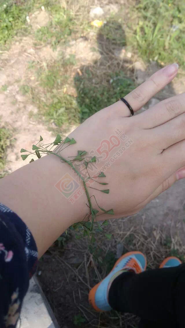 说好的太阳呢900 / 作者:恭城520小奈姐姐 / 帖子ID:113410