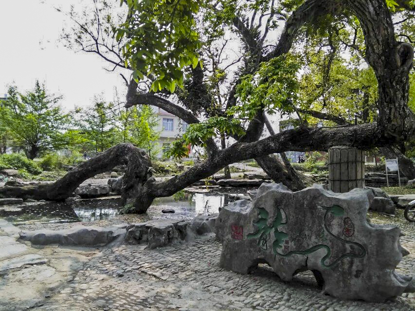 来点桃花加点古建487 / 作者:新乐文化传媒 / 帖子ID:113449