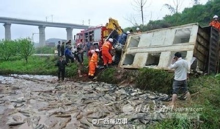 卡在驾驶室的他着急地对消防人员喊:“先救我的鱼！”626 / 作者:thkfh / 帖子ID:113683