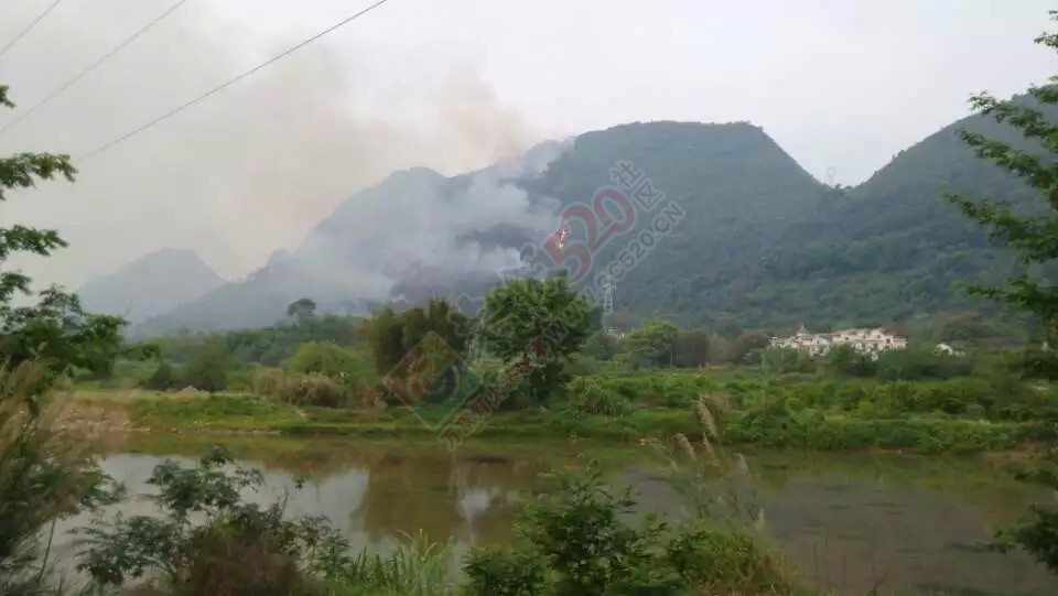 起火了，火势还在继续涨到！779 / 作者:罗少爷 / 帖子ID:114859