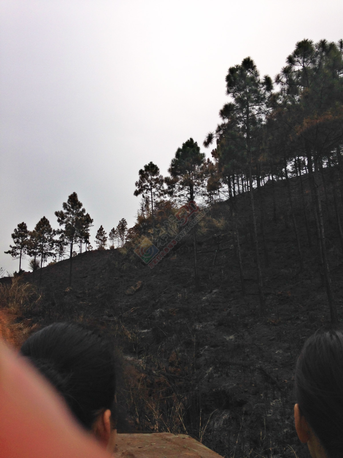 烧成灰烬后的电视塔931 / 作者:桂花糕 / 帖子ID:114883