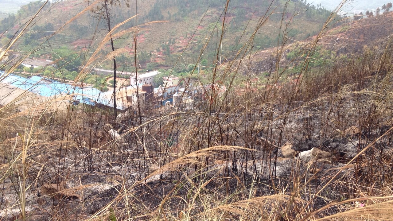 烧成灰烬后的电视塔16 / 作者:桂花糕 / 帖子ID:114883