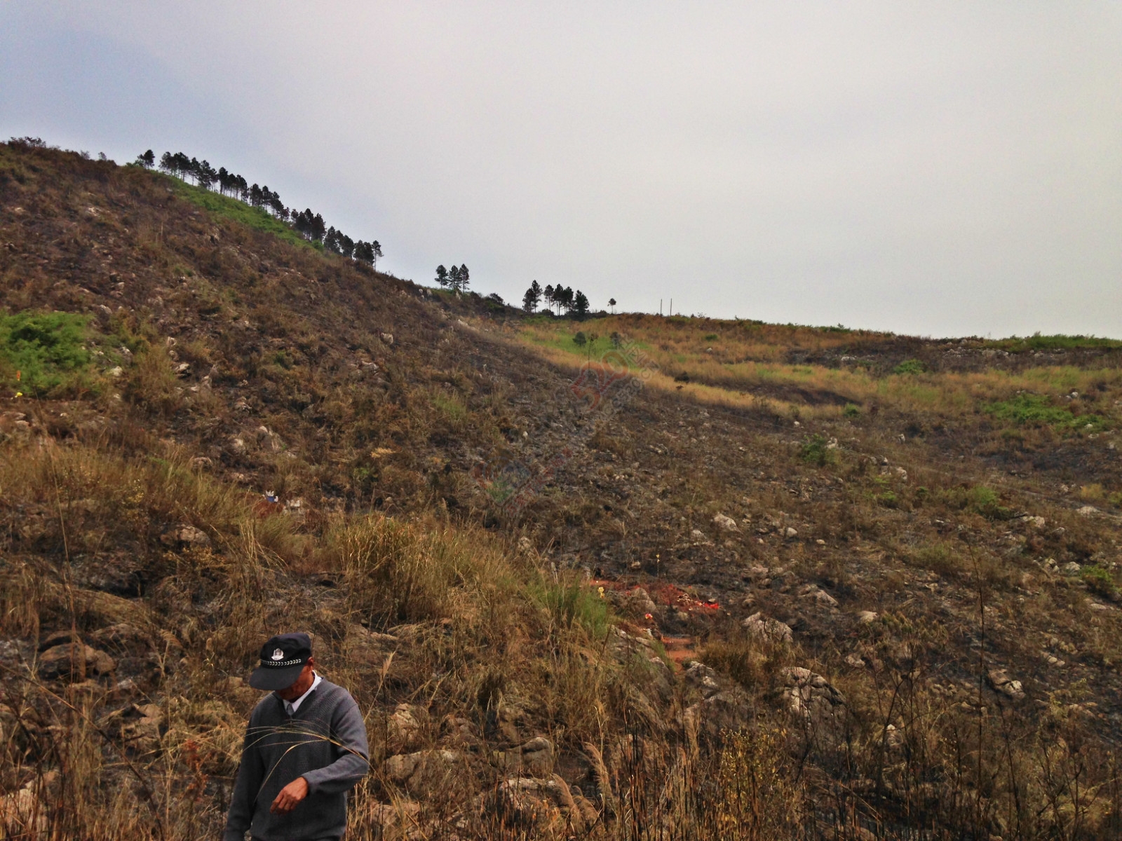 烧成灰烬后的电视塔620 / 作者:桂花糕 / 帖子ID:114883