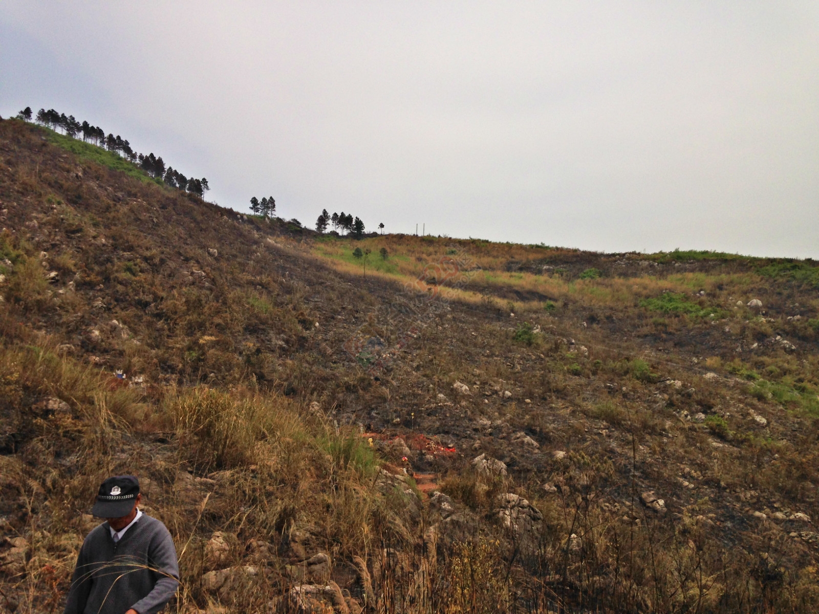 烧成灰烬后的电视塔637 / 作者:桂花糕 / 帖子ID:114883