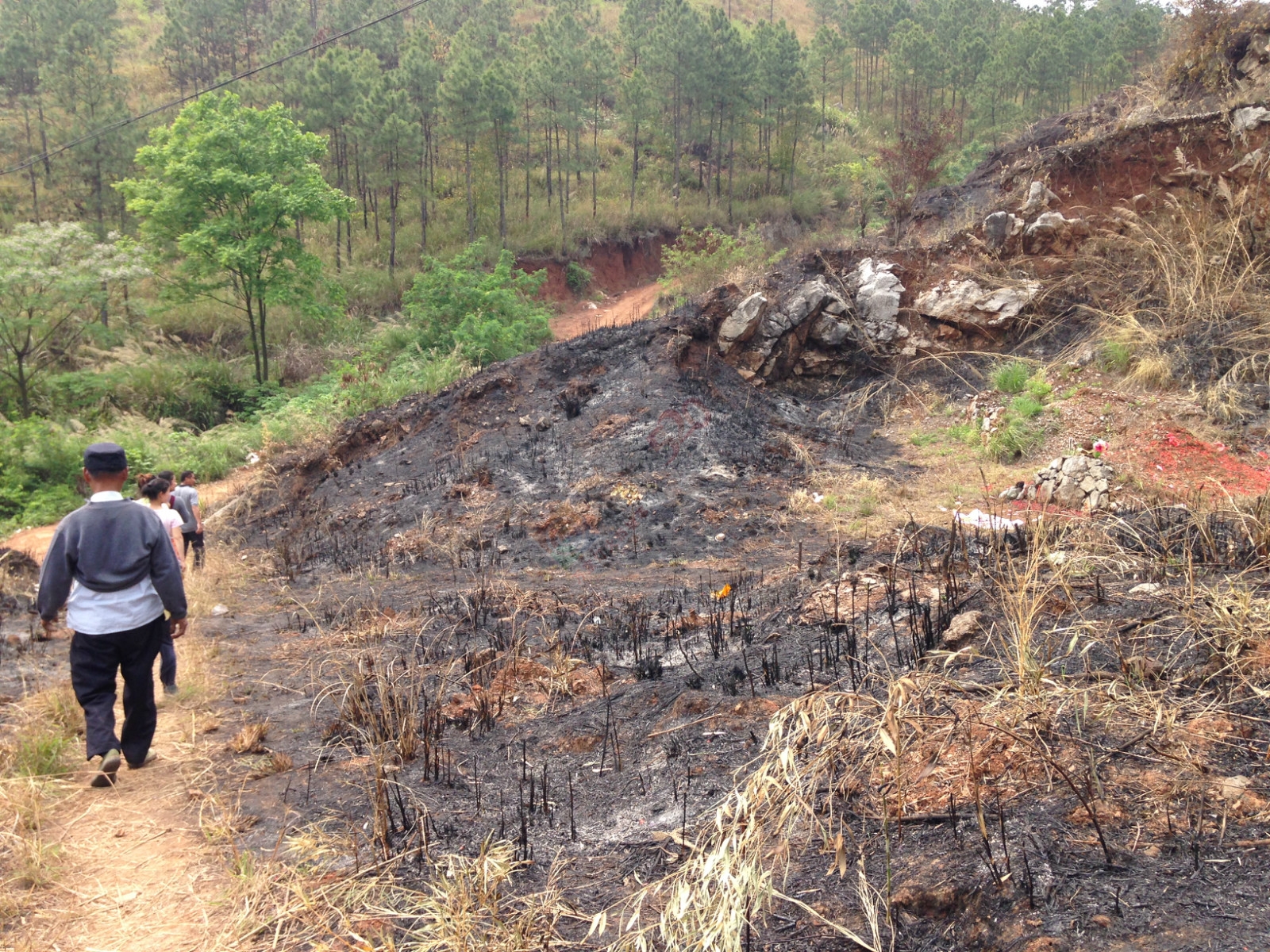 烧成灰烬后的电视塔595 / 作者:桂花糕 / 帖子ID:114883