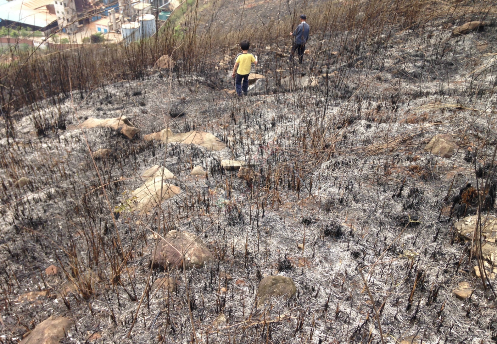 烧成灰烬后的电视塔418 / 作者:桂花糕 / 帖子ID:114883