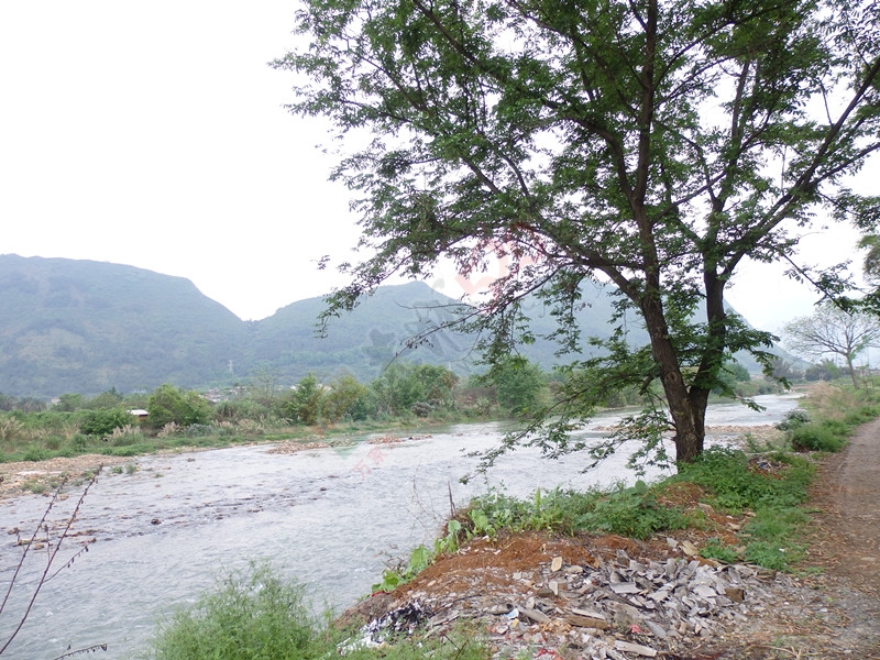 回到恭城到处都是美景…＜一＞225 / 作者:建筑19551213 / 帖子ID:114936