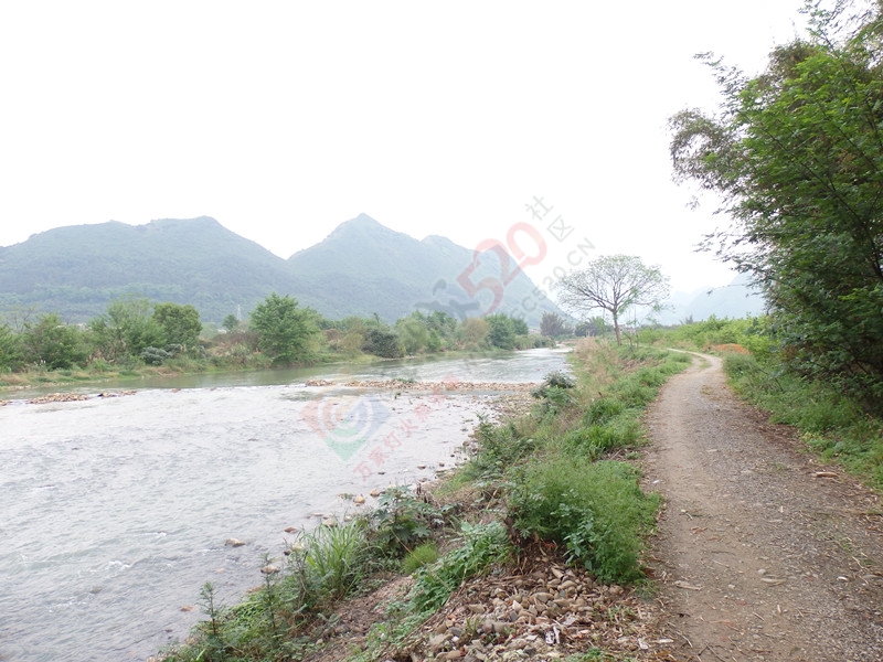 回到恭城到处都是美景…＜一＞560 / 作者:建筑19551213 / 帖子ID:114936
