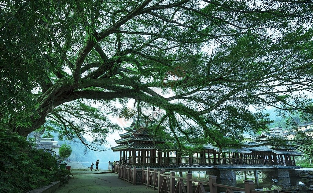 “水韵瑶寨，魅力长坪”4.19“三月三”蒙山文化旅游节371 / 作者:古建灵韵 / 帖子ID:114962