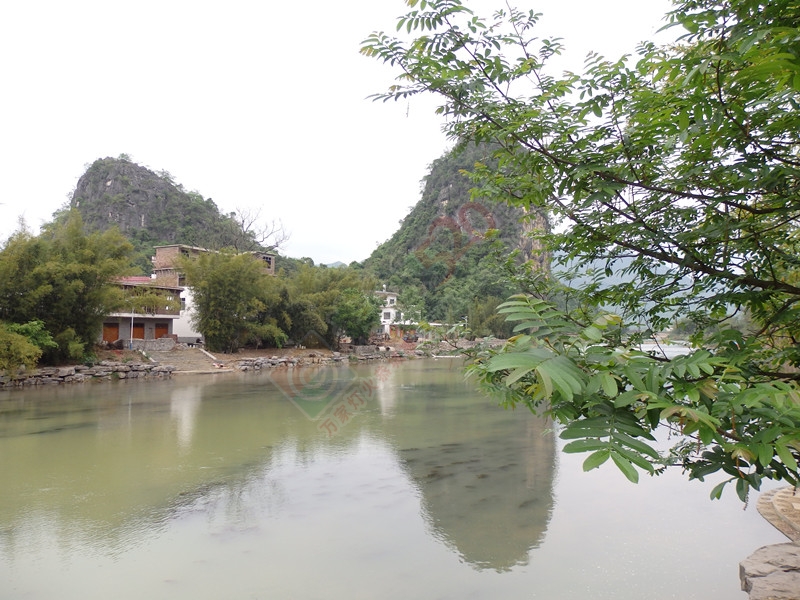 回到恭城到处都是美景…＜二＞839 / 作者:建筑19551213 / 帖子ID:114986
