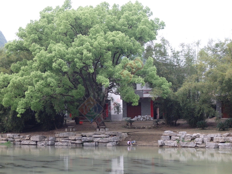 回到恭城到处都是美景…＜二＞142 / 作者:建筑19551213 / 帖子ID:114986